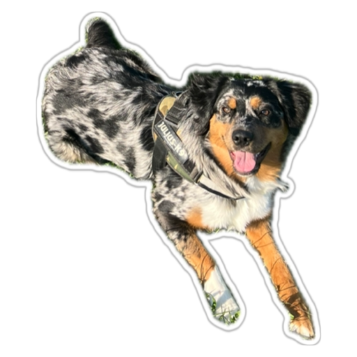 Josie